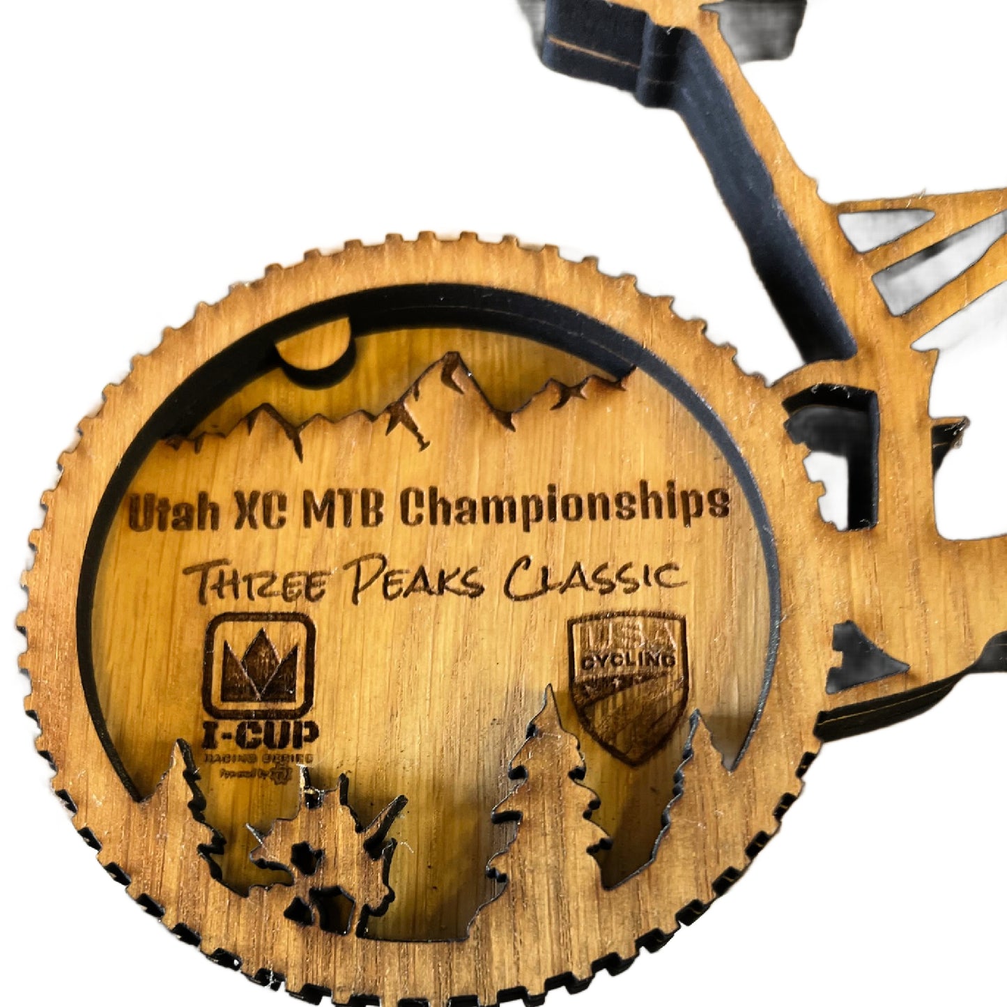 Mountain Bike Custom Trophy